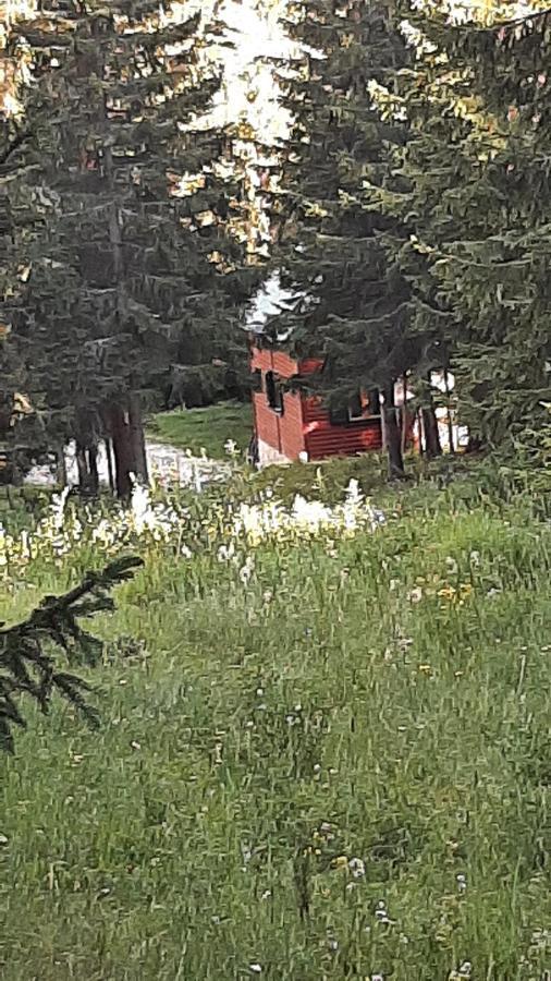 Villa Tanjuska Žabljak Exterior foto